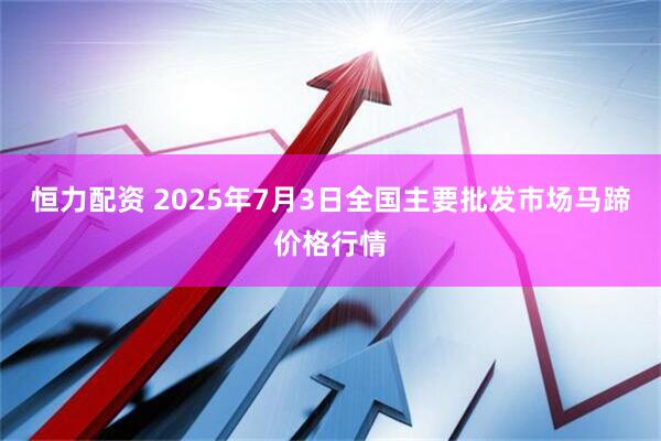 恒力配资 2025年7月3日全国主要批发市场马蹄价格行情